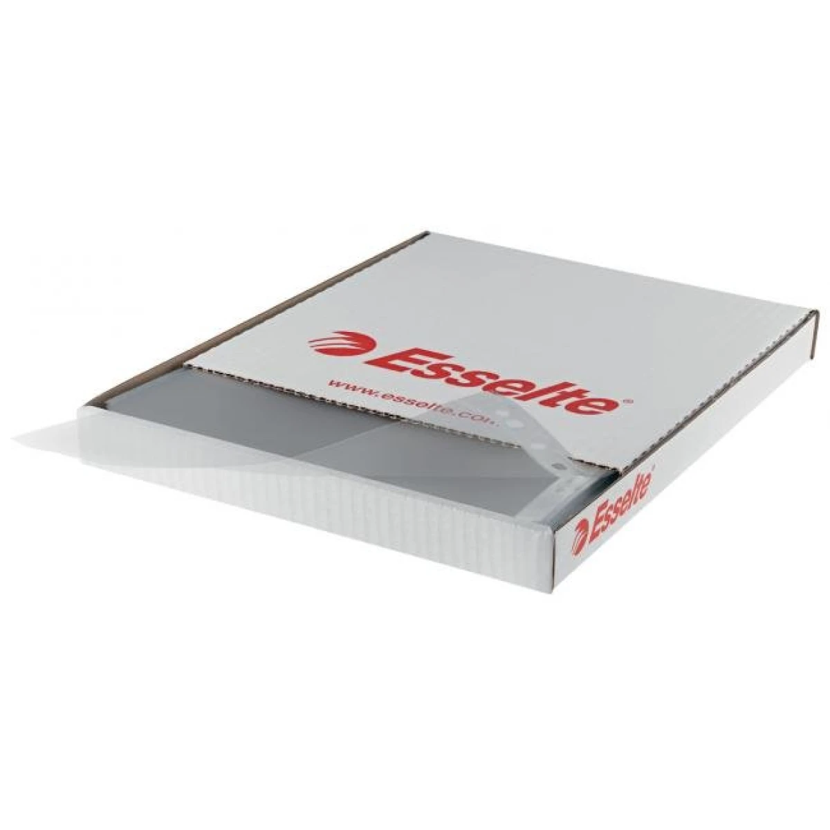 Euroobal Esselte A4 lesklý 55 mic 