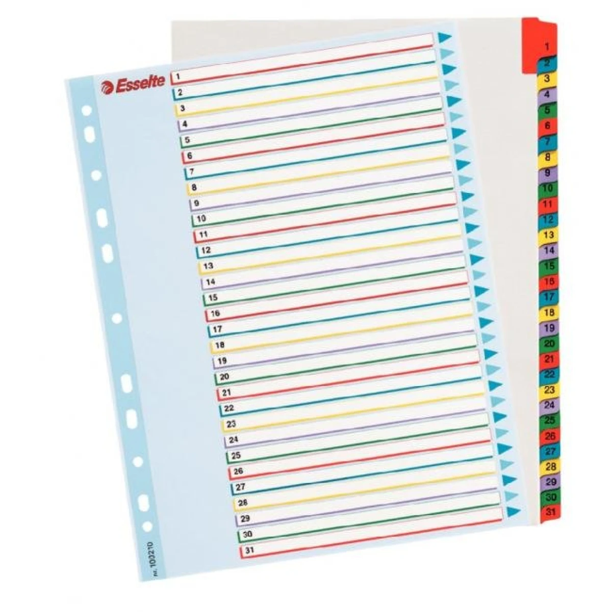 Kartónový rozraďovač Esselte ProjectPro 1-31 maxi 