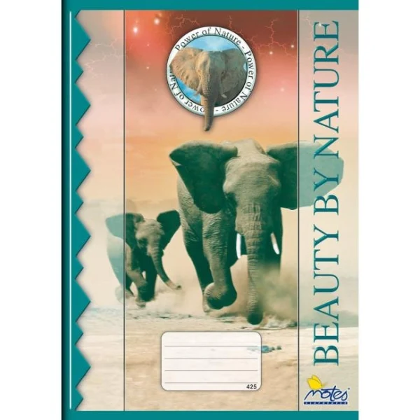 Zošit 425 štvorčekový 20 listov 