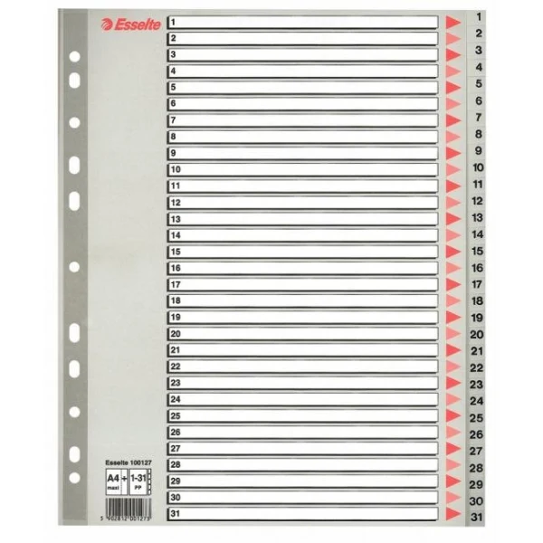 Plastový rozraďovač Esselte 1-31 maxi sivý 