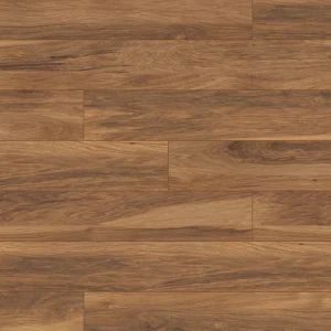 8155 Hickory Appalachian / Atlantic