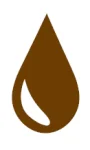 Dub Hadi Teherani French mixed / olej / Select / mikro 4V - náhľad
